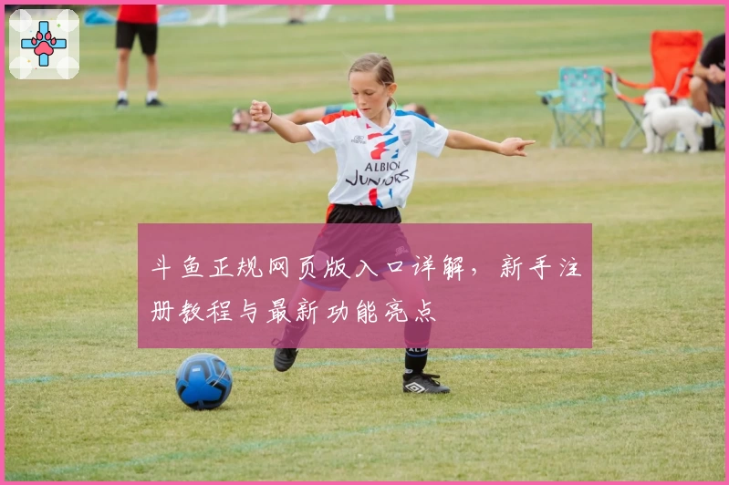斗鱼正规网页版入口详解，新手注册教程与最新功能亮点