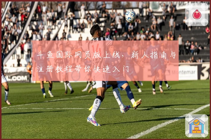 斗鱼国际网页版上线，新人指南与注册教程带你快速入门