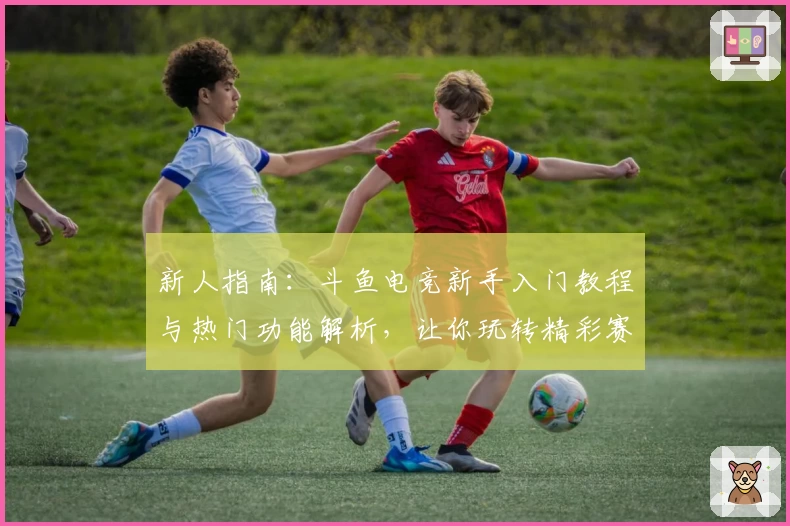 新人指南:斗鱼电竞新手入门教程与热门功能解析,让你玩转精彩赛事
