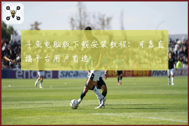 斗鱼电脑版下载安装教程：可靠直播平台用户首选