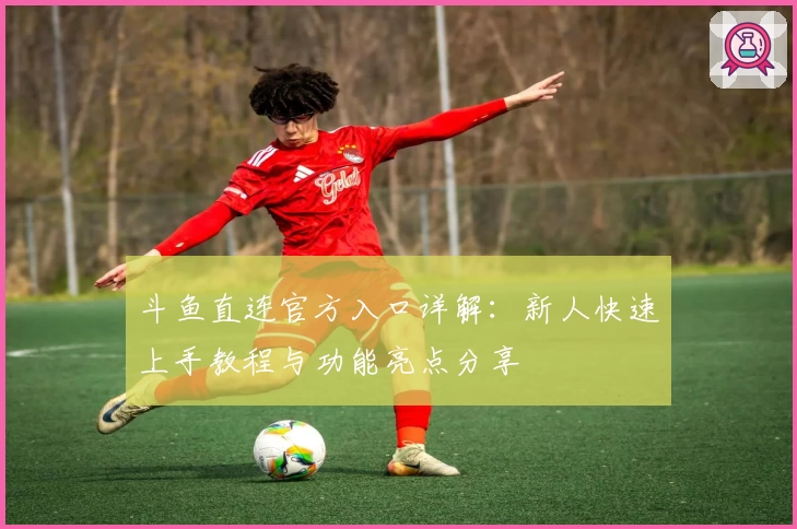 斗鱼直连官方入口详解：新人快速上手教程与功能亮点分享