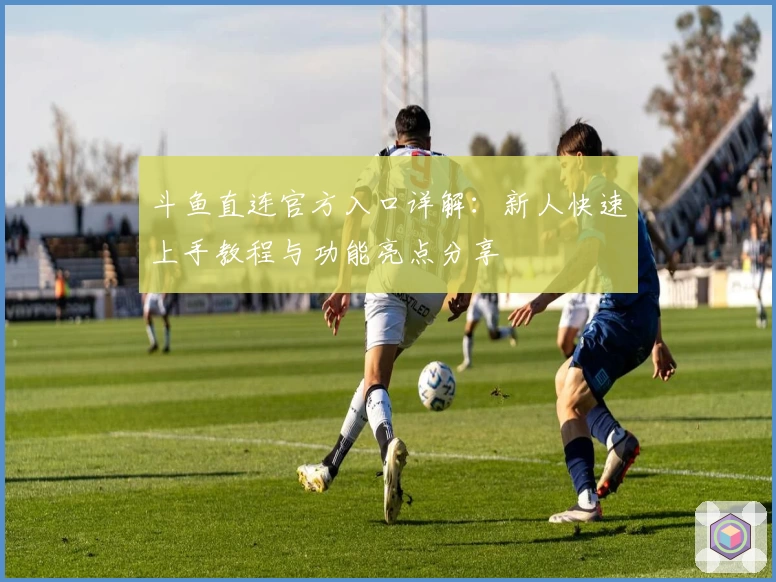 斗鱼直连官方入口详解：新人快速上手教程与功能亮点分享